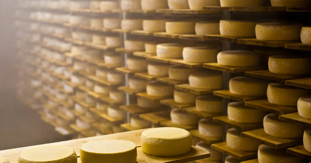 À la découverte des fromages de Chartreuse