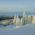 La forêt de Nordmarka, non loin d'Oslo